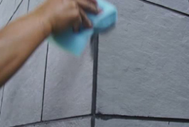 軟瓷海棠角第五步